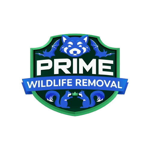 Wildlife Nuisance Removal llc